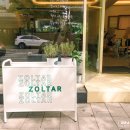 졸타(ZOLTAR)
