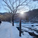 성주산 자연휴양림 대형주차장 이미지