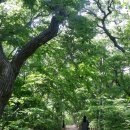 큰고래 게스트 하우스 네이버블로그