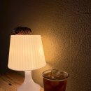 베리피 | 미세스피베리 공주 애견동반 카페 메뉴 및 주차 정리