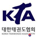 대한태권도 티스토리