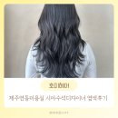 해찬솔어린이집 | 제주 연동미용실 호미헤어에서 레이어드컷 염색 후회없는 후기