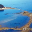 무창포 신비의 바닷길 대하·전어 축제 2019