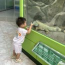 양서·파충류생태공원 1층 이미지