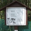 대나무골테마공원 Daum카페