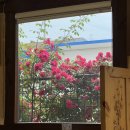 어쩌다동막골 이미지