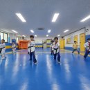 엘림 태권도 이미지