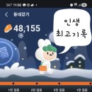 대로(보)2-1-2 이미지