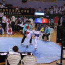 꿈나무태권도 이미지