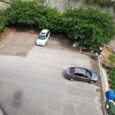 바디턴골프아카데미 네이버블로그