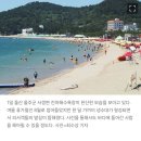 8월인데 겨울바다? 피서객은 &#39;멘붕&#39; 울산·부산 앞바다 무슨 일? 이미지