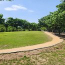 신암근린공원 이미지