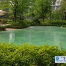 통정경로당 이미지