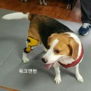 워크앤런 이미지