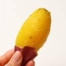 식단을 하려면 식단을 하지 않아야 한다 / 퍼스널 다이어트 후기