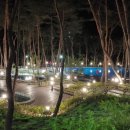 속리산숲체험휴양마을 이미지