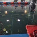 부산실내바다낚시터 이미지