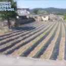 광음2리경로당 이미지