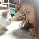 로얄매치 무한하트를 달라
