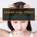 조생한의원 네이버블로그