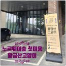 고양이숲 | 남양주고양이미용 추천 황금산고양이에서 노르웨이숲 첫 고양이 무마취미용 후기