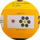 숲을향한시선 이미지