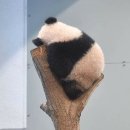 팬더 - 수원시 권선구 세권로 216 | 팬더
