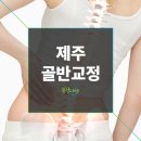 봄길의원 이미지