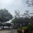 [천주교 성당 혼인강좌 후기] 천주교 수원교구 혼인교리 혼인강좌 후기, 가격, 주차 (관면혼배, 혼인...