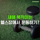 리틀포레짐 | 성정동PT 새해 북적이는 헬스장에서 눈치 보며 운동하기?