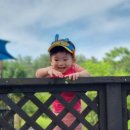 창아어린이집 이미지