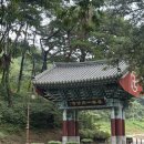 국립공주박물관 | 충남 공주 1인 여행기 (마곡사, 마곡사성보박물관, 국립공주박물관, 피탕김탕 본점 후기) #1