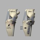 대곡동물병원 이미지