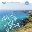 제주도 올레 오름 걷기 여행/정규찬, 김성중, 진우석/황금시간/392쪽 이미지