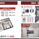 스타디온 삼성 이미지