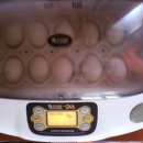 동혜농장 이미지