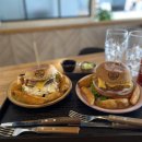 데이데이그릭 이미지