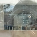 민 동물병원(동물미용) 이미지