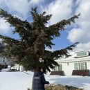 대아스크린골프 이미지