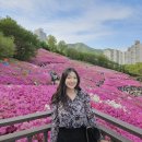 도장중학교 | [일상]군포 철쭉공원 23/04/22후기!