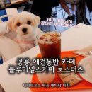 서울 애견동반 공릉카페 블루마일스커피로스터스 공릉커피축제 대상 카페 반려동물 동반 후기