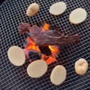 금등스테이199 이미지