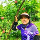 석촌농장 이미지