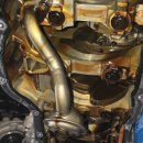 월드카닥터하우스 이미지