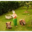 코끼리시장 이미지