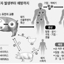 신종 인플루엔자 A( H1N1),A형 간염 제대로알고 대처하기 이미지