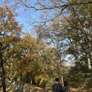 숙이네식당 이미지