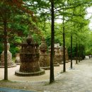 숲에 머물다 이미지