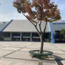 광명 시민체육관(외부) 이미지