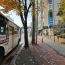 동주동물병원 이미지